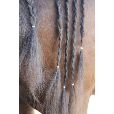 Sac d'élastiques à crinière Harry's horse Magic braids transparents