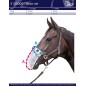 Filet pour naseaux cheval Harry's horse noir Filet pour naseaux cheval Harry's horse noir