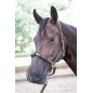 Filet pour naseaux cheval Harry's horse noir Filet pour naseaux cheval Harry's horse noir