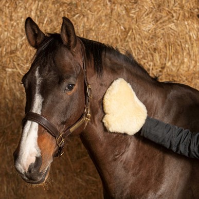 Gant Harry's horse Merino crème