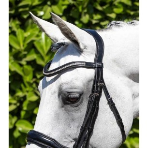 Premier Equine Bridon Abriano Anatomic Double