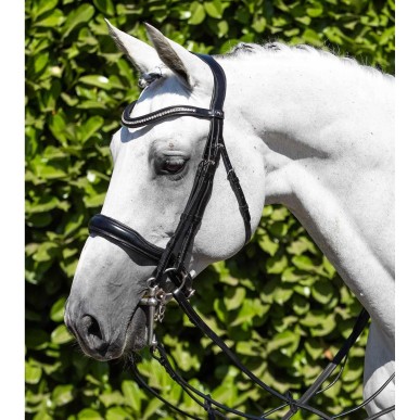 Premier Equine Bridon Abriano Anatomic Double