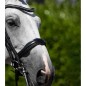 Premier Equine Bridon Abriano Anatomic Double