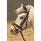 Bridon Harry's horse Stout Lime noir
