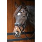Bridon Harry's horse petit crystal noir