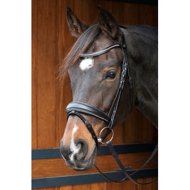 Bridon Harry's horse petit crystal noir