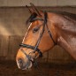 Bridon Harry's horse Soft Carbon black edition