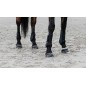 Guêtres Equithème Tara noir Guêtres Equithème Tara noir