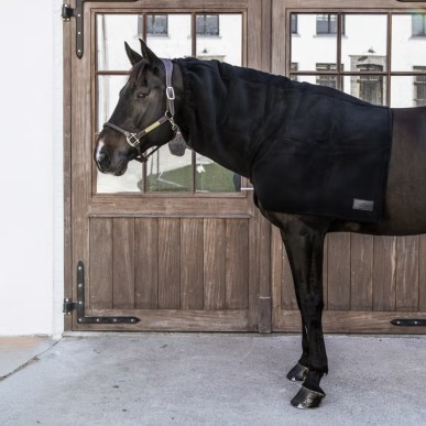 Echarpe Heavy Fleece Noir - Kentucky