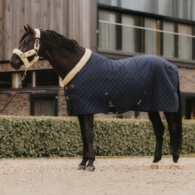 Couverture de box Slow Rug 160g Marine - Kentucky