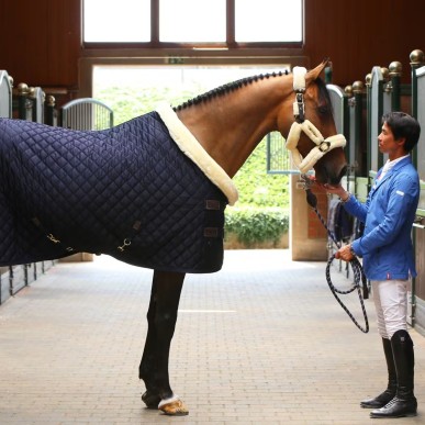 Couverture de box Slow Rug 160g Marine - Kentucky