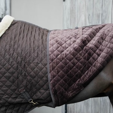 Couverture de box Show Rug 160g Marron- Kentucky