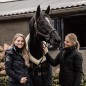 Couverture de box Show Rug 160g Noir - Kentucky Couverture de box Show Rug 160g Noir - Kentucky