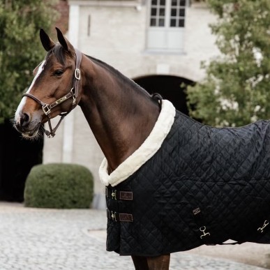 Couverture de box Show Rug 160g Noir- Kentucky