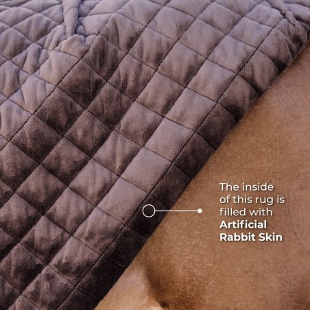 Couverture de box Show Rug 160g Noir - Kentucky