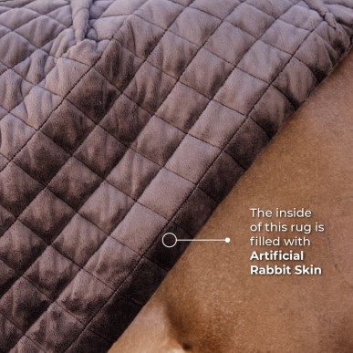 Couverture de box Show Rug 160g Noir- Kentucky