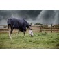 Couverture d'Extérieur All Weather Hurricane 150g Marine - Kentucky Couverture d'Extérieur All Weather Hurricane 150g Marine - Kentucky
