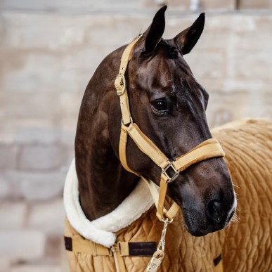 Couverture de box Show Rug Velvet 160g Moutarde - Kentucky