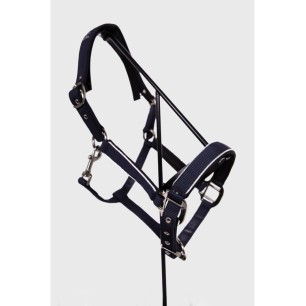 Licol et longe Bamara Marine - Harcour
