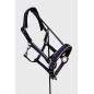 Licol et longe Bamara Marine - Harcour
