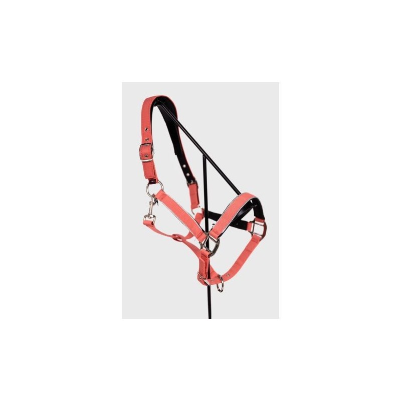 Licol et longe Bamara Pamplemousse - Harcour Licol et longe Bamara Pamplemousse - Harcour