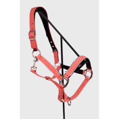 Licol et longe Bamara Pamplemousse - Harcour