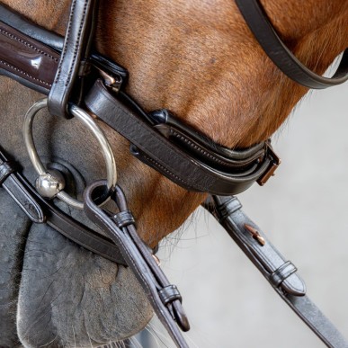 Bridon Copper en cuir Cheval - Harry's Horse