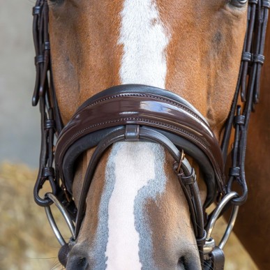 Bridon Copper en cuir Cheval - Harry's Horse
