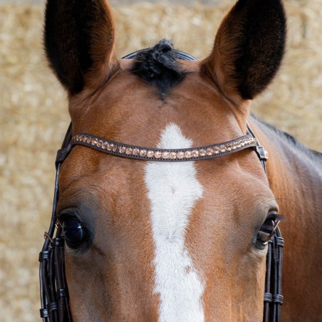 Bridon Copper en Cuir Cheval - Harry's Horse
