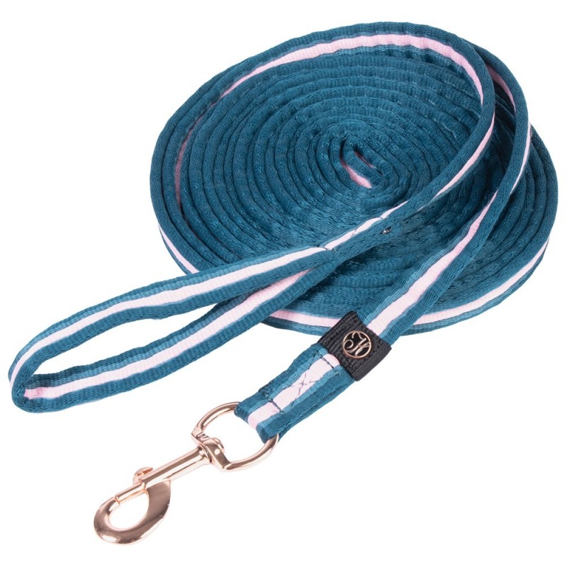 Longe Soft Stripe 8 mètres Vert d'eau - Harry's Horse Longe Soft Stripe 8 mètres Vert d'eau - Harry's Horse