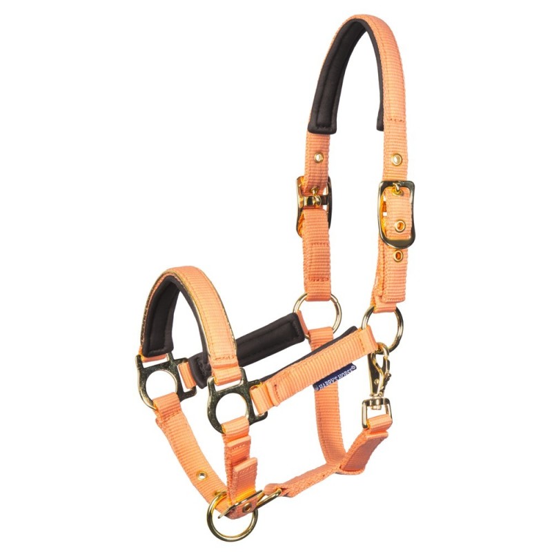 Licol Poulain Metal Orange - Harry's Horse Licol Poulain Metal Orange - Harry's Horse