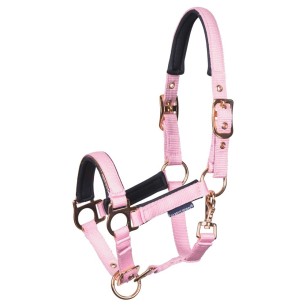 Licol Poulain Metal Rose - Harry's Horse