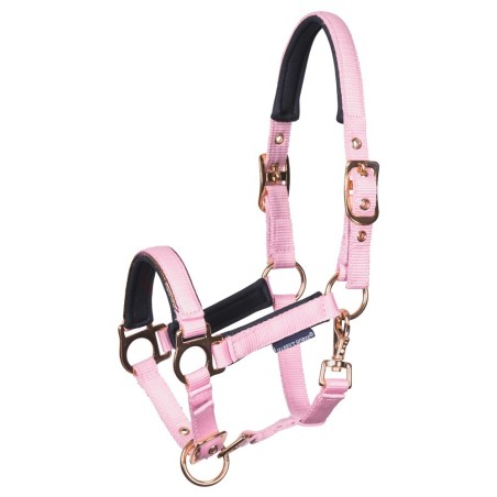Licol Poulain Metal Rose - Harry's Horse