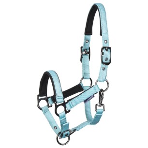 Licol Poulain Metal Bleu Turquoise - Harry's Horse