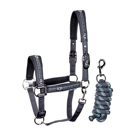 Licol et longe Equestrian Society Harry's horse blanck sand
