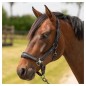 Licol et longe Equestrian Society Harry's horse blanck sand Licol et longe Equestrian Society Harry's horse blanck sand