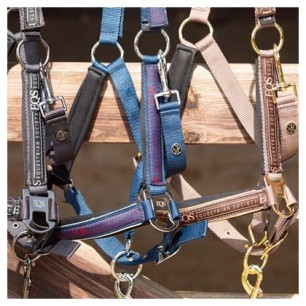 Licol et longe Equestrian Society Harry's horse coffee quartz