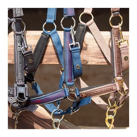 Licol et longe Equestrian Society Harry's horse coffee quartz