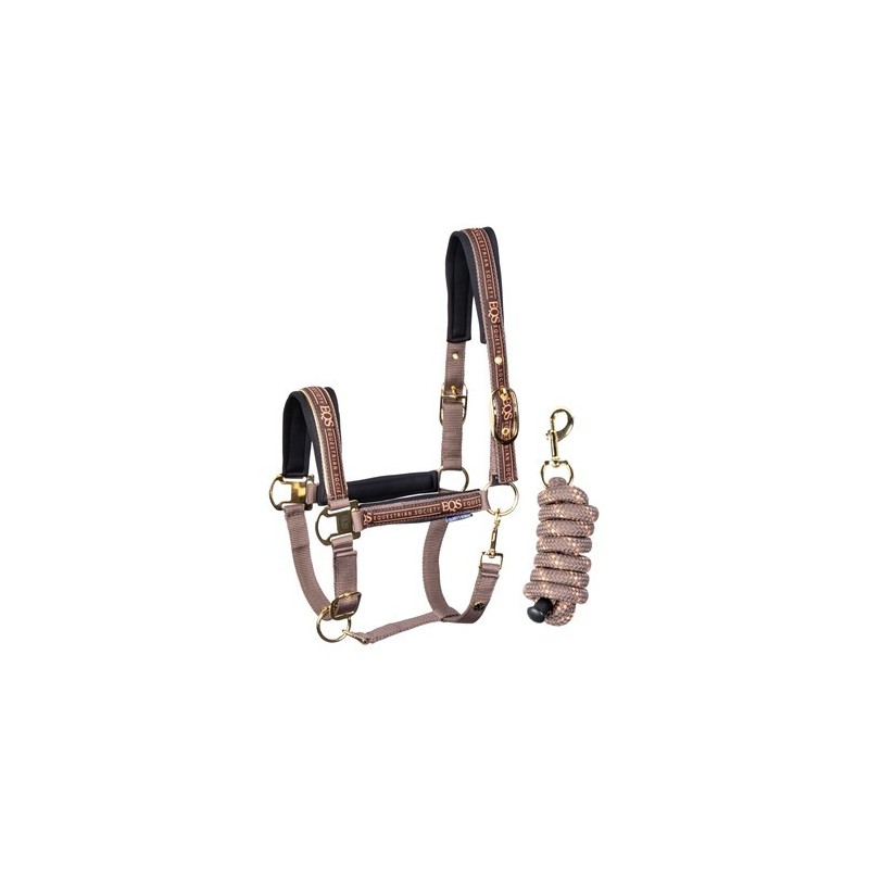 Licol et longe Equestrian Society Harry's horse coffee quartz Licol et longe Equestrian Society Harry's horse coffee quartz