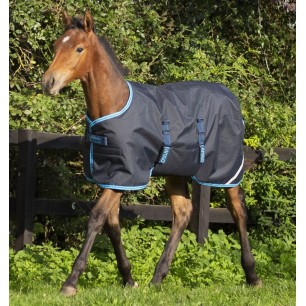 Couverture d'Extérieur Amigo Poulain 200g Marine - Horseware