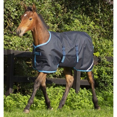 Couverture d'Extérieur Amigo Poulain 200g Marine - Horseware
