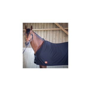 Chemise séchante Noir PADDOCK Sports