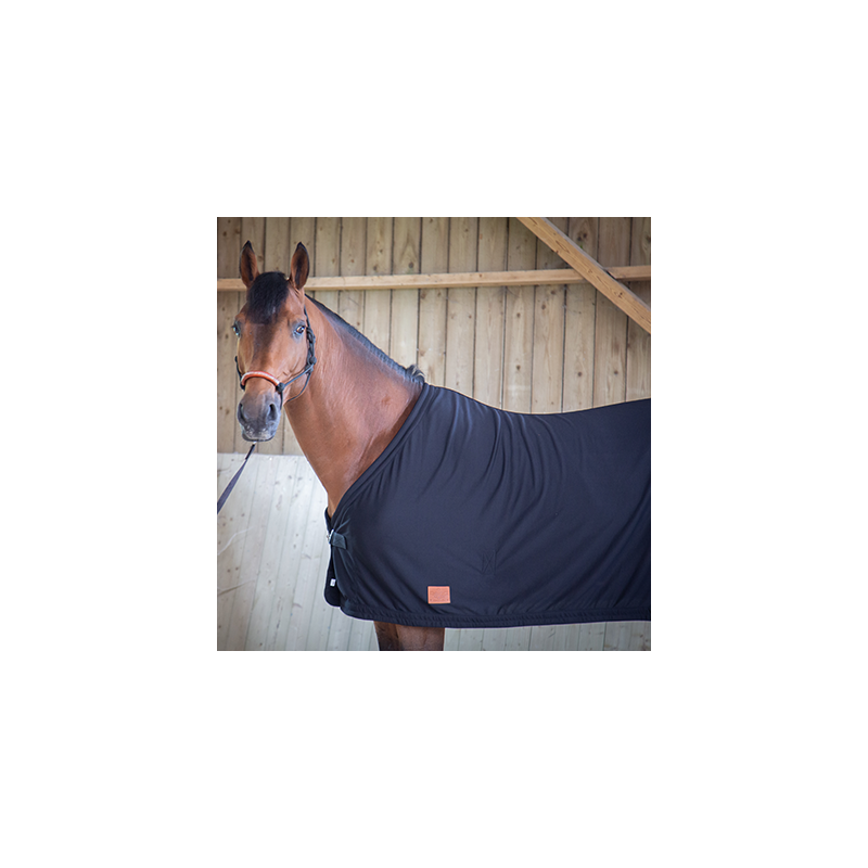 Chemise séchante Noir PADDOCK Sports Chemise séchante Noir PADDOCK Sports