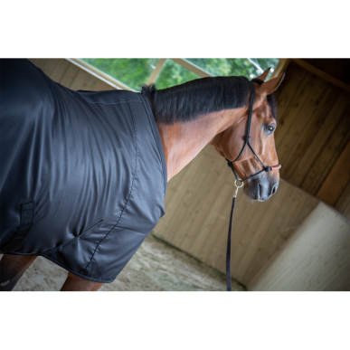 Chemise Séchante Light Mesh Noir - Paddock Sport