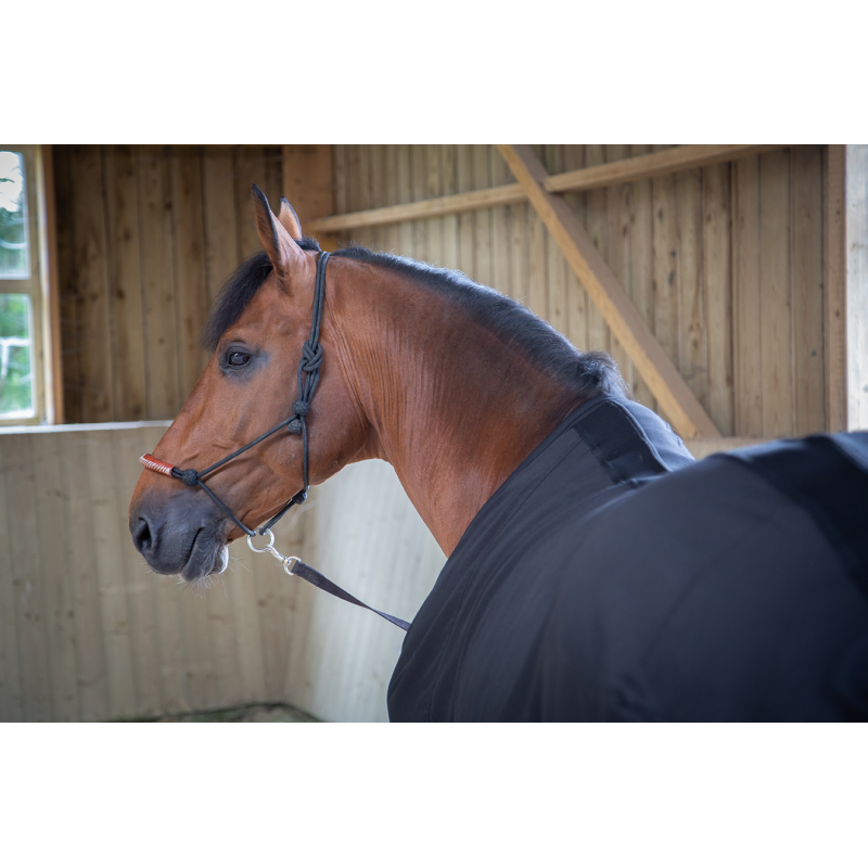 Chemise Séchante Light Mesh Noir - Paddock Sport Chemise Séchante Light Mesh Noir - Paddock Sport