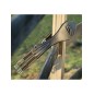 Sangle anatomique HFI en cuir - Marron