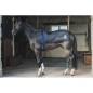 Chauffe-dos Equithème Heated Noir