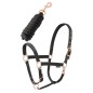 Longe et licol Daslö Noir/Rose Gold