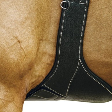 Sangle Bavette anatomique Norton Pro cuir noir
