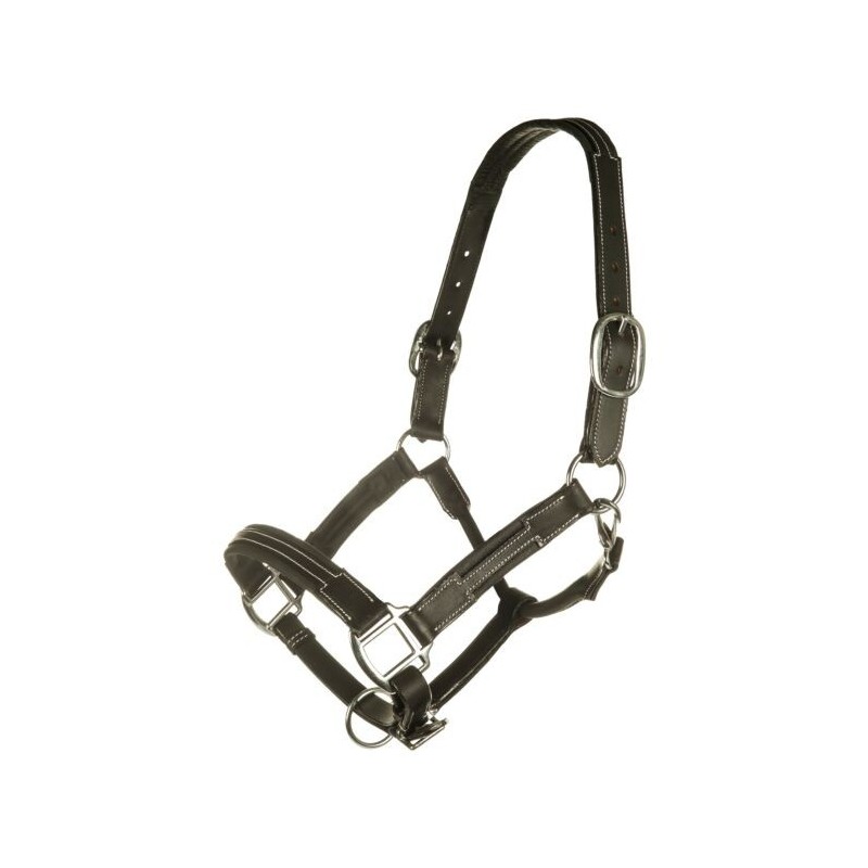 Licol Cuir Premium Noir - HKM Licol Cuir Premium Noir - HKM